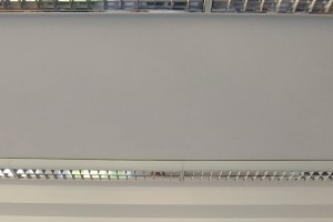 721462758_4389399571344825_4497944565173153620_n.jpg