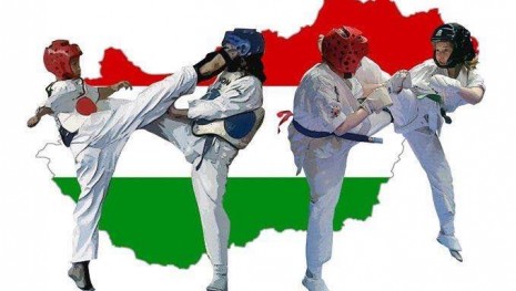 Kántor Viktória 9. évfolyamos tanulónk újabb karate aranya