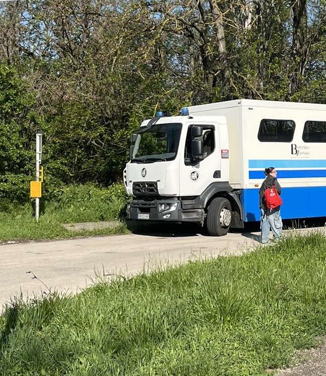 Börtönlátogatás / Prison visit